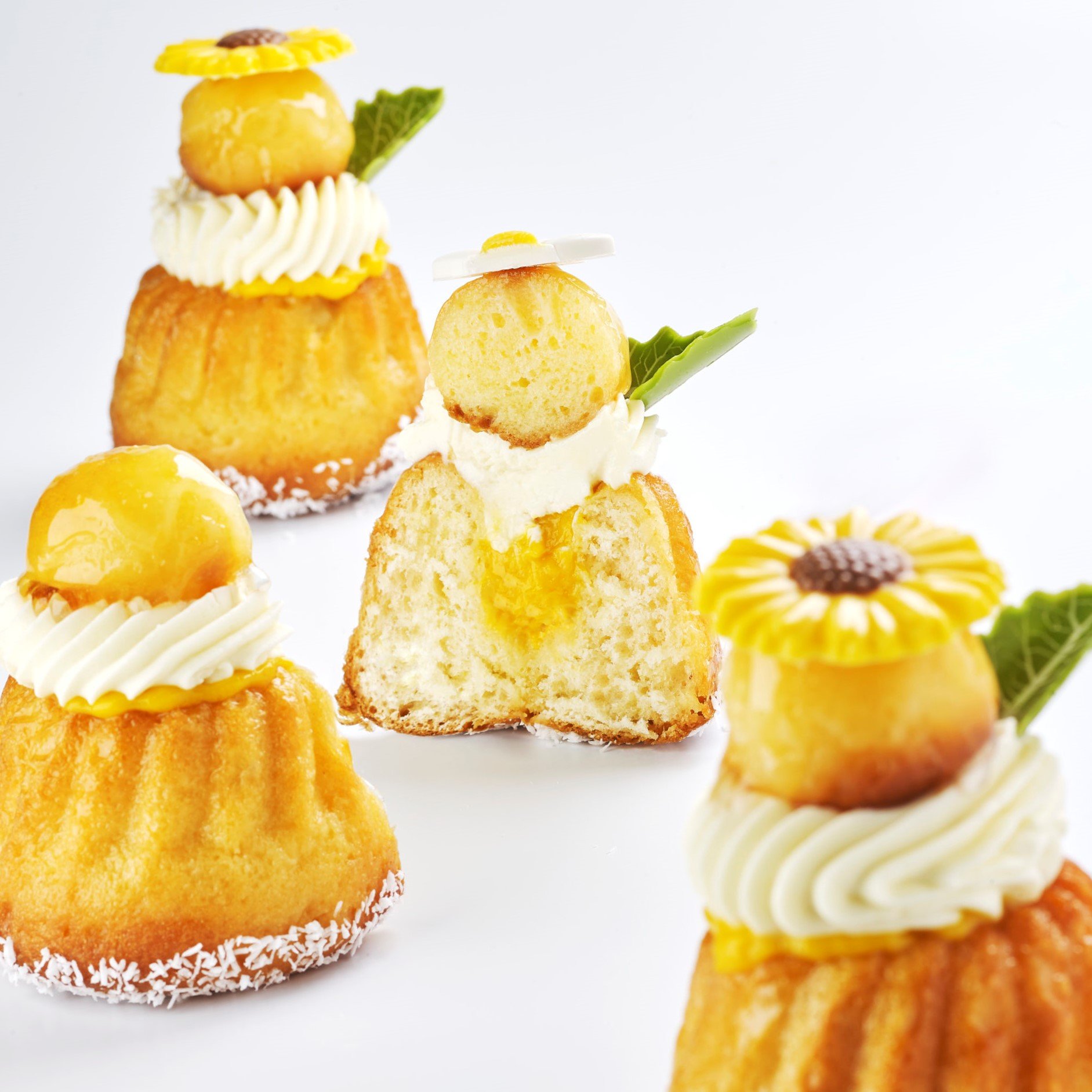 KOUGLOF ESOTICO